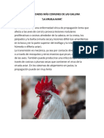 Documento (1) (8) Las Gallinas