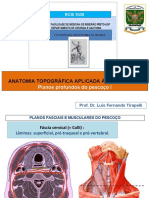 RCG 1036 Aula 6 Planos Profundos Do Pescoço I 2019