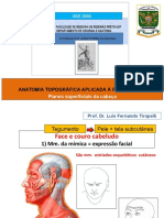 RCG1036 Anatomia da face e couro cabeludo