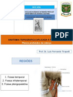 RCG 1036 Aula 4 Planos Profundos Da Cabeça 2019