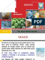 03-MOHOS y MICOTOXINAS