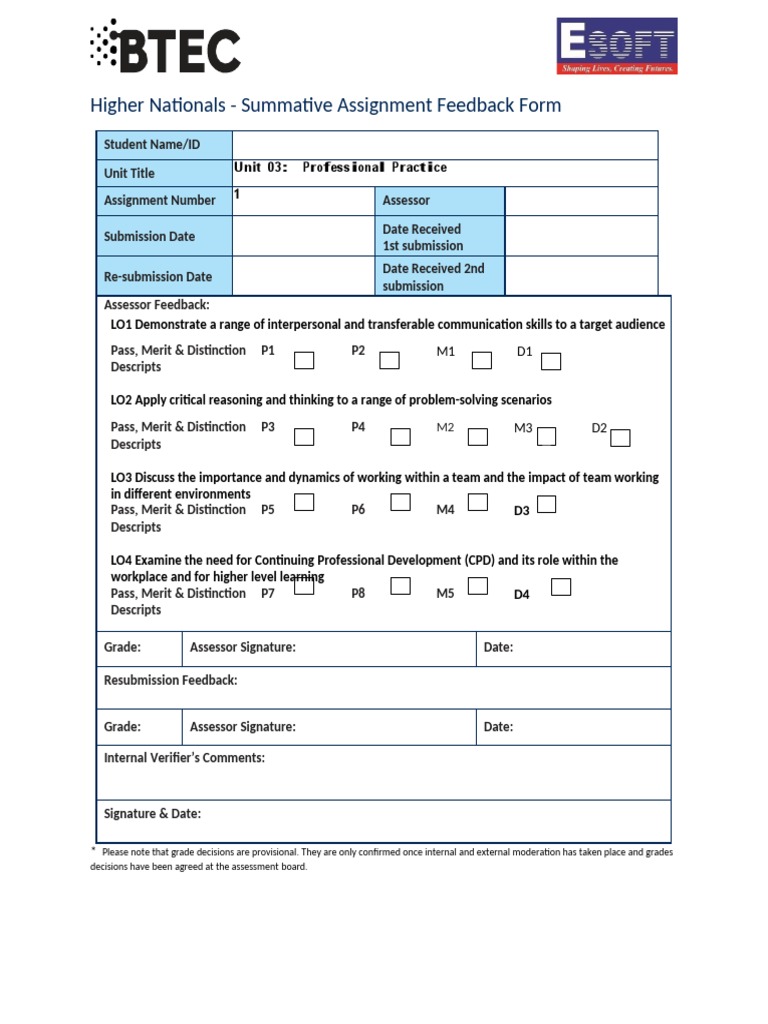 Professional Practice Assignment Feedback Form | PDF | Plagiarism ...
