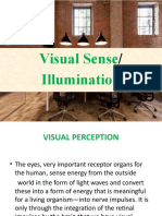 Lesson 2 - Visual Sense