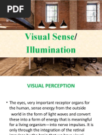 Lesson 2 - Visual Sense