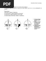Download Acumetria by Felipe Pipo Rw SN60454266 doc pdf