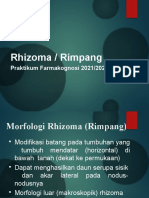 Modul Rhizoma - Prak Farmakognosi 2021 2022