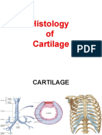 Understanding Cartilage and Bone Histology