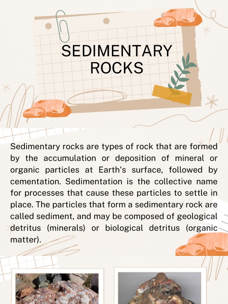 Group 2 - Sedimentary Rocks | PDF | Sedimentary Rock | Rock (Geology), image size:768x1024