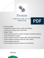 Pertemuan 4 - Protein