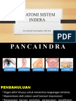 Anatomi Sistem Indra 5 Organ