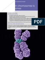 C 06 From Chromosomes To Genomes