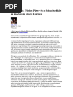 Aaron Swartz Ij | PDF