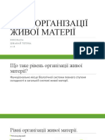 рівні організації жив круто очень 