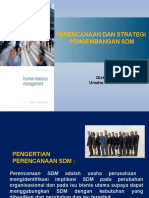 Peranan Perencanaan Dan Strategi SDM 17