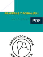 1 Introducción PradyForrI Est 2015