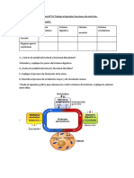 Funciones de Nurtriciòn