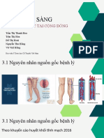 Việt Hồng - 3.1-3.2