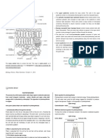 Copy of Plant Nutrition