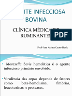 Ceratite Infecciosa 97-2003