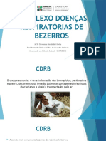 Doenças respiratórias de bezerros