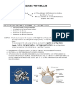 Clase 02-Articulaciones Vertebrales