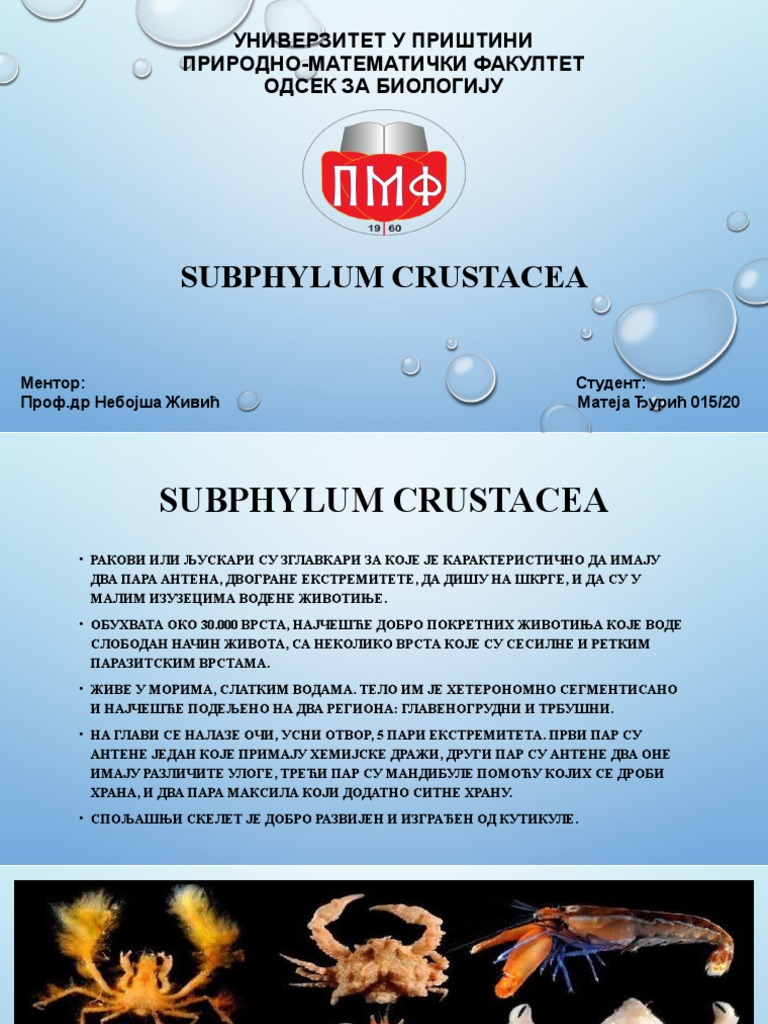 CRUSTACEA | PDF