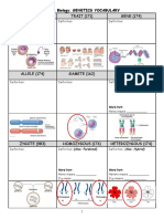 Genetics Vocab