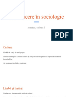 Introducere În Sociologie, Seminar Cultură