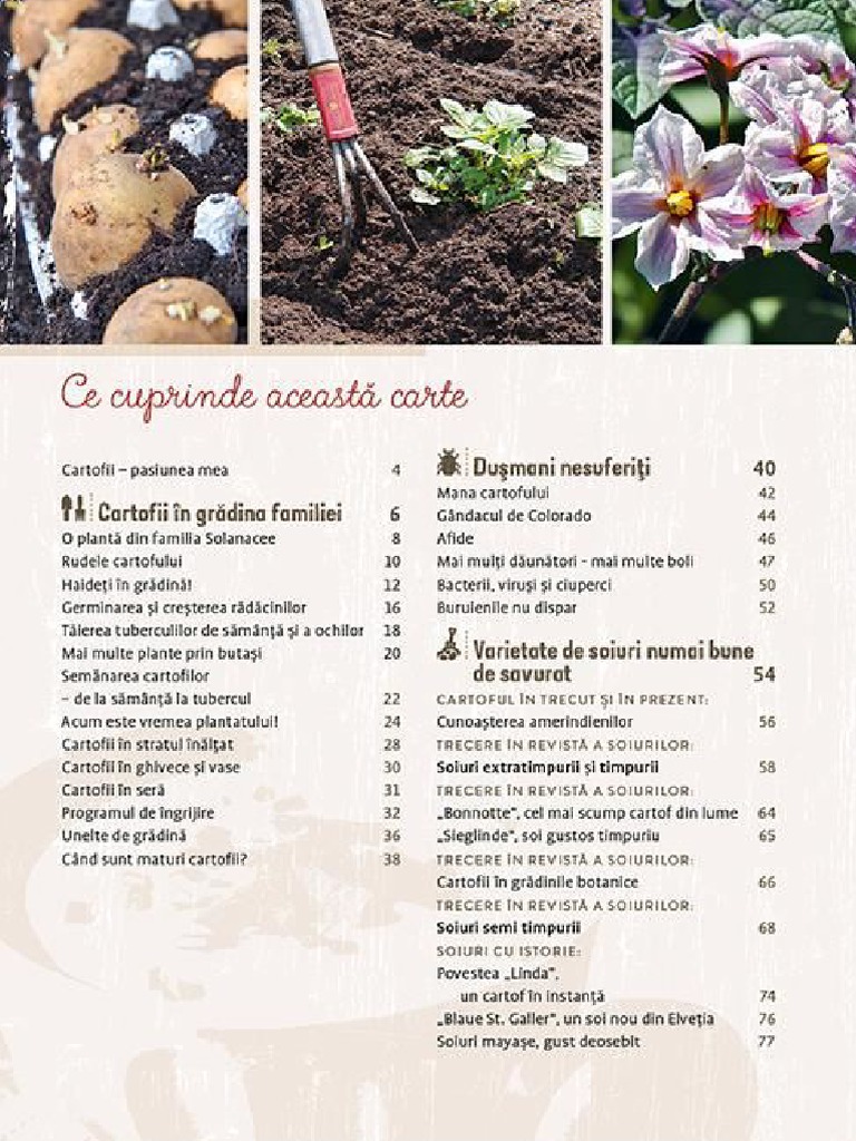 Cartoful. Plantare, Recoltare, Savurare - Heidi Lorey | PDF