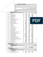 Presupuesto Analitico PDF