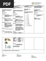 Lesson Plan in Filipino 1 - Pangngalan | PDF