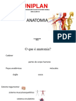 Aula 01 Anatomia