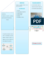 TRIPTICO La Vela y El Agua