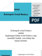 KELUMPOK SOSIAL BUDAYA