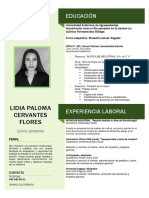 CV - Cervantes Lidia.