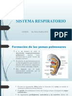 5 - Sistema Respiratorio