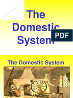 Unit1 The Domestic System