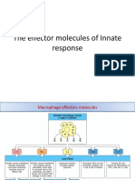 The Effector Molecules of Innate Response