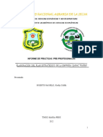 Informe PPP - Huerto Pajuelo