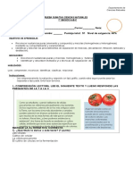 Prueba de Ciencias 7°