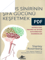 Stanley Rosenberg Vagus Sinirinin Şifa Gücünü Keşfetmek