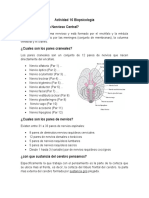 Actividad 16 Biopsicología