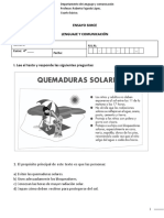 Ensayo SIMCE sobre lenguaje y comunicación