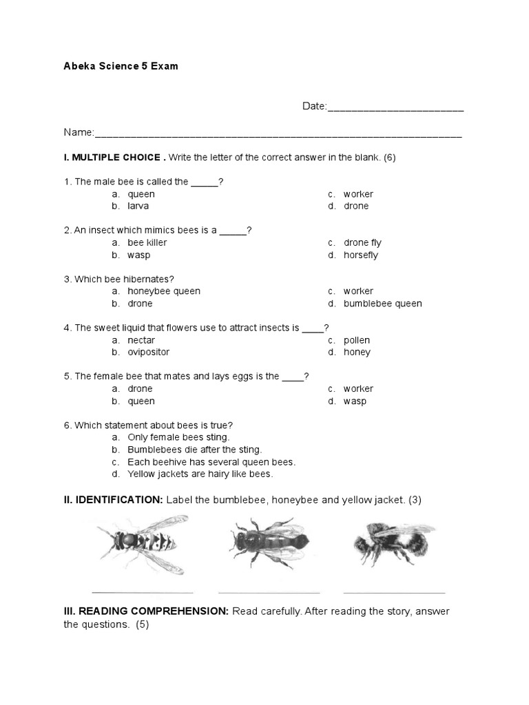 FIRST GRADE SCIENCE WORKSHEET - ESL worksheet by anpamaji, image size:768x1024