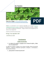 Actividad 3.1 Cuestionario Tejidos vegetal (2)