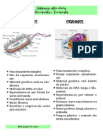 Diferenças Entre Células Procariontes e Eucariontes