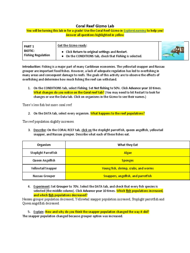 Coral Reef Gizmo Lab PDF Coral Reef Physical Geography