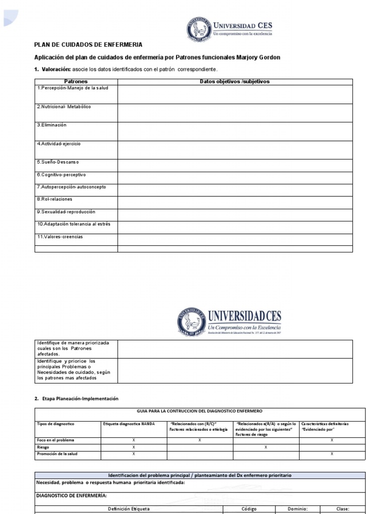 aplicacion-pae-patrones-funcionales-2022-pdf-enfermer-a-cuidado