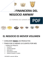 Vision Financiera Del Negocio AMWAY