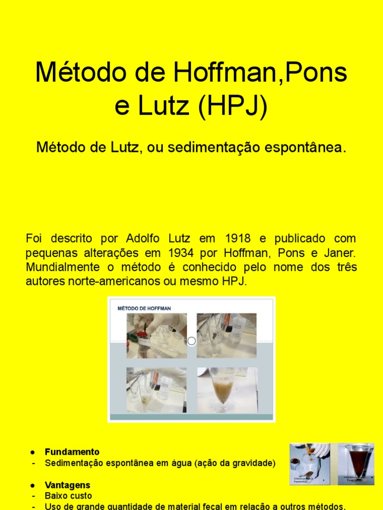 Método de Hoff | PDF